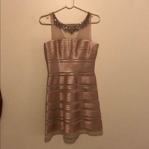 BcbgMaxazria Rose/Champagne dress